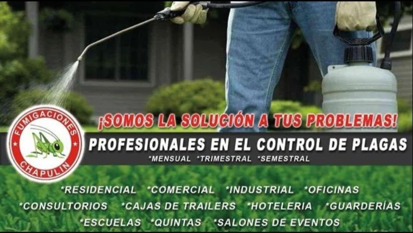 FUMIGACIONES CHAPULIN