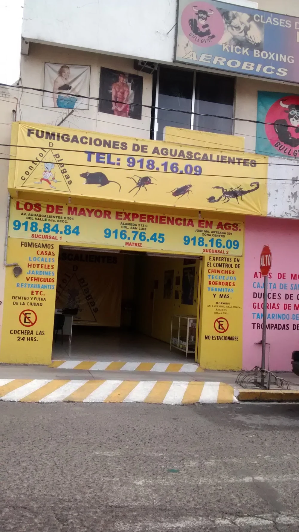 FUMIGACIONES DE AGUASCALIENTES