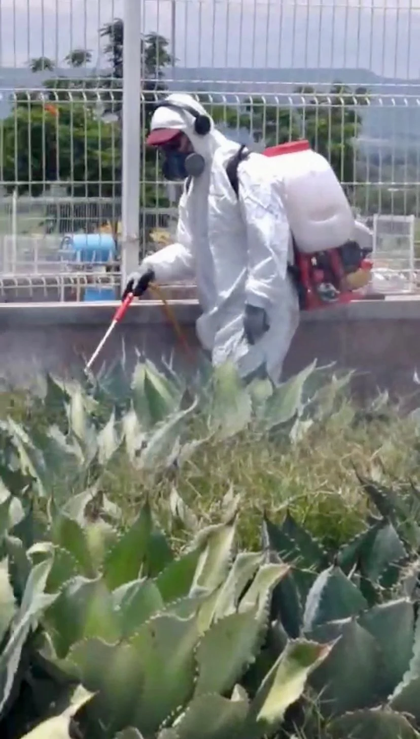 Fumigaciones Fumi/todo