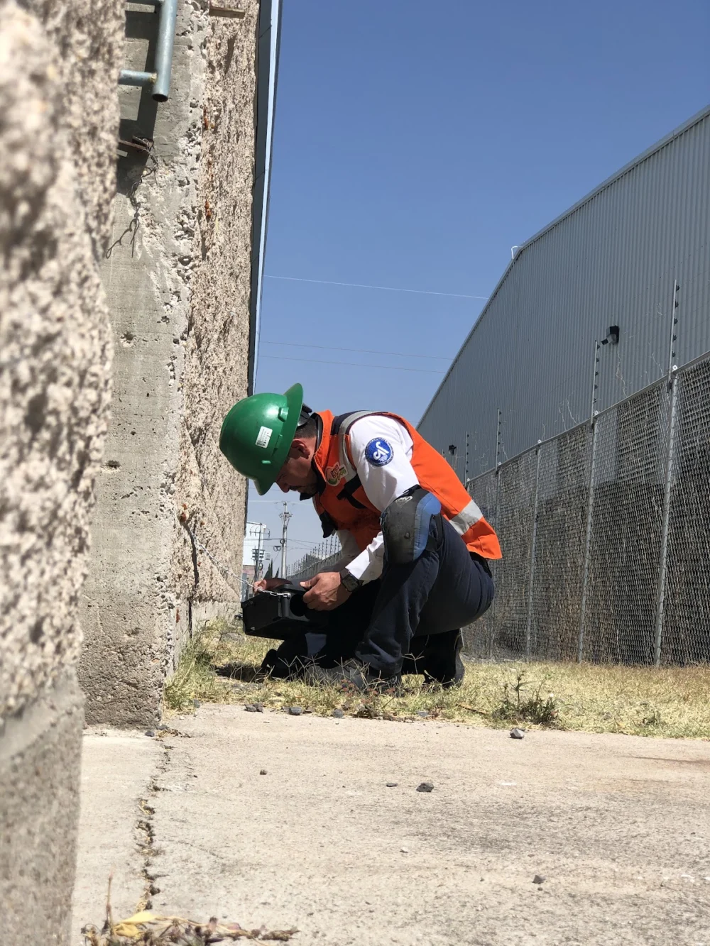 Green Control de Plagas - Fumigaciones en Monterrey