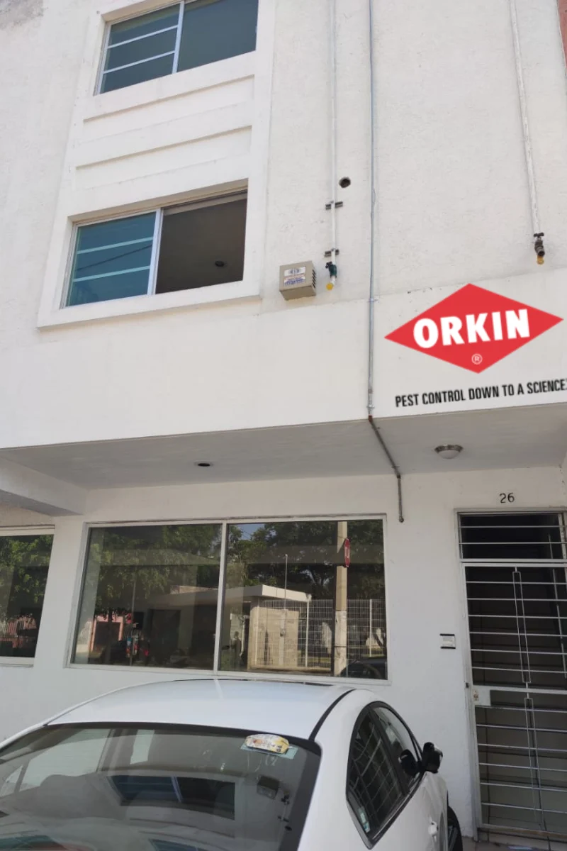 Orkin