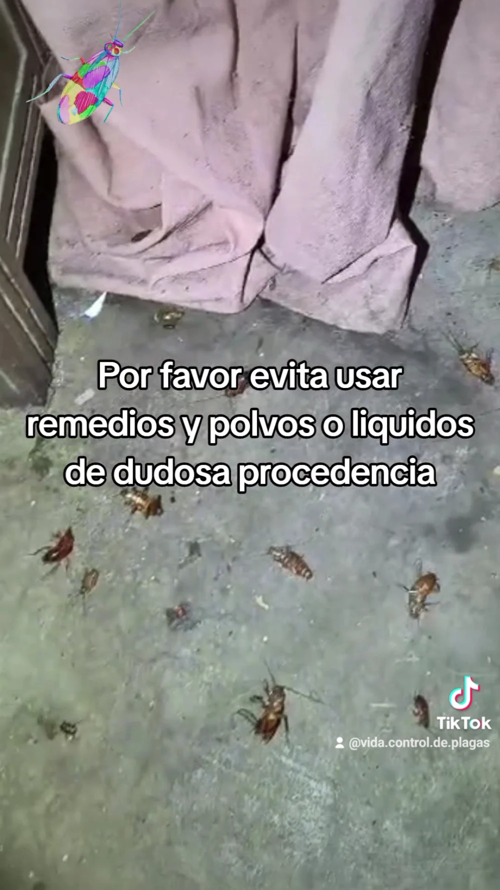Vida control de plagas